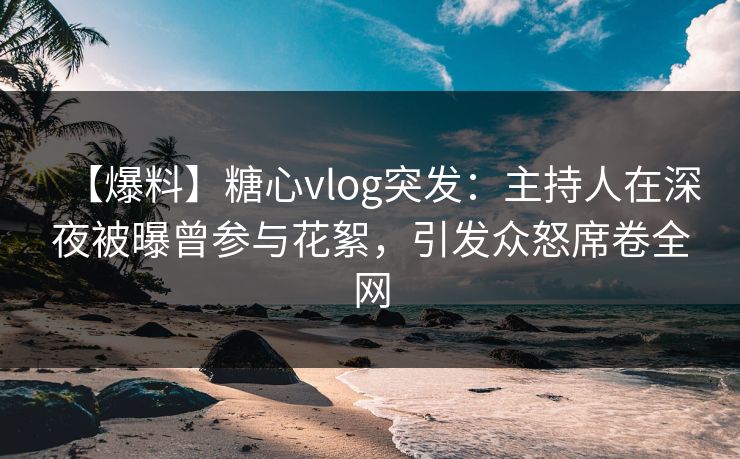 【爆料】糖心vlog突发：主持人在深夜被曝曾参与花絮，引发众怒席卷全网