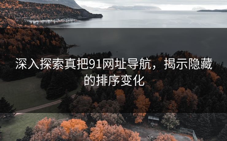 深入探索真把91网址导航,揭示隐藏的排序变化 深入探索真把91网址导航,揭示隐藏的排序变化