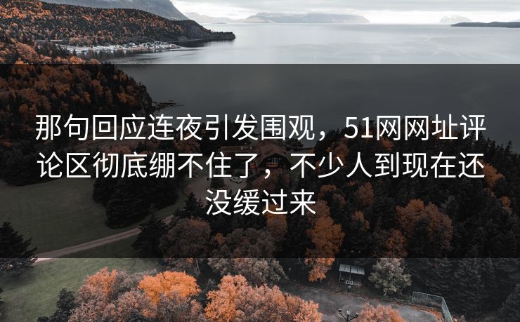 那句回应连夜引发围观,51网网址评论区彻底绷不住了,不少人到现在还没缓过来 那句回应连夜引发围观,51网网址评论区彻底绷不住了,不少人到现在还没缓过来